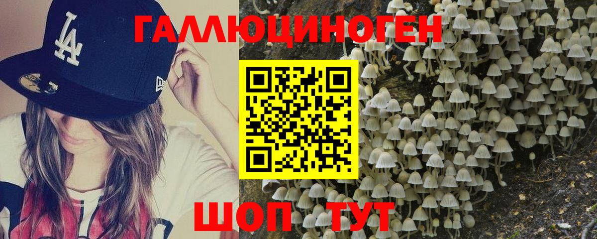 Псилоцибиновые грибы прущие грибы Куйбышев