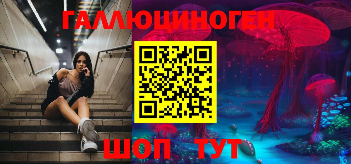 Куйбышев  Псилоцибиновые грибы мухоморы  Псилоцибиновые грибы MAGIC MUSHROOMS  Вход с VPN 
